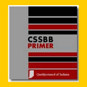 CSSBB primer